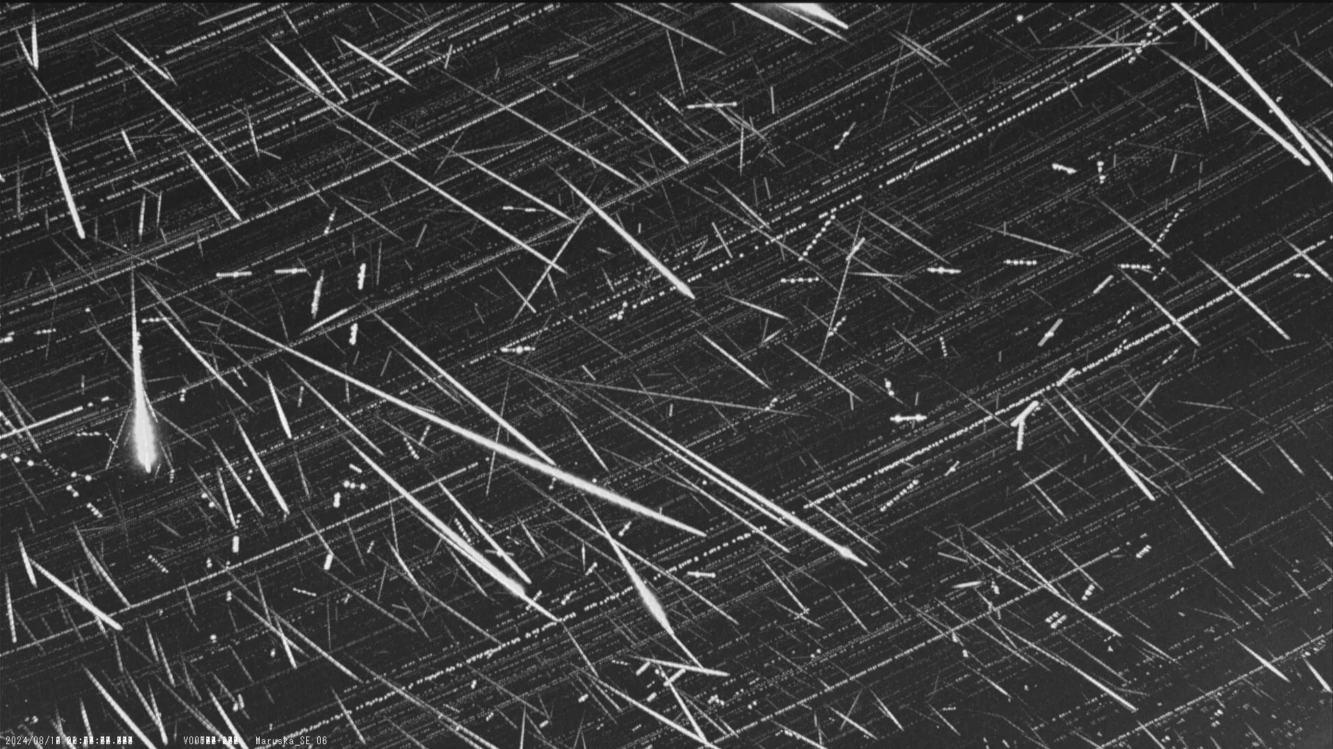 Perseid meteor shower composite image from Maruska station showing 829 meteors