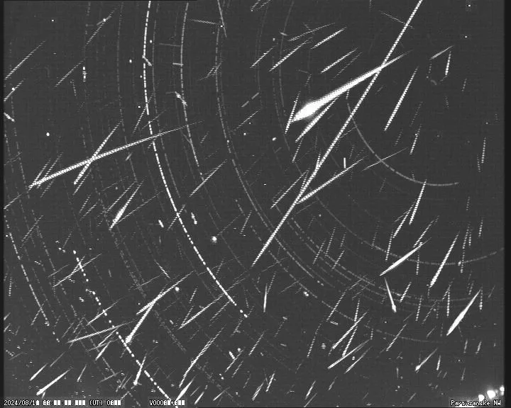 Perseid meteor shower composite image from Partizánske station showing 391 meteors