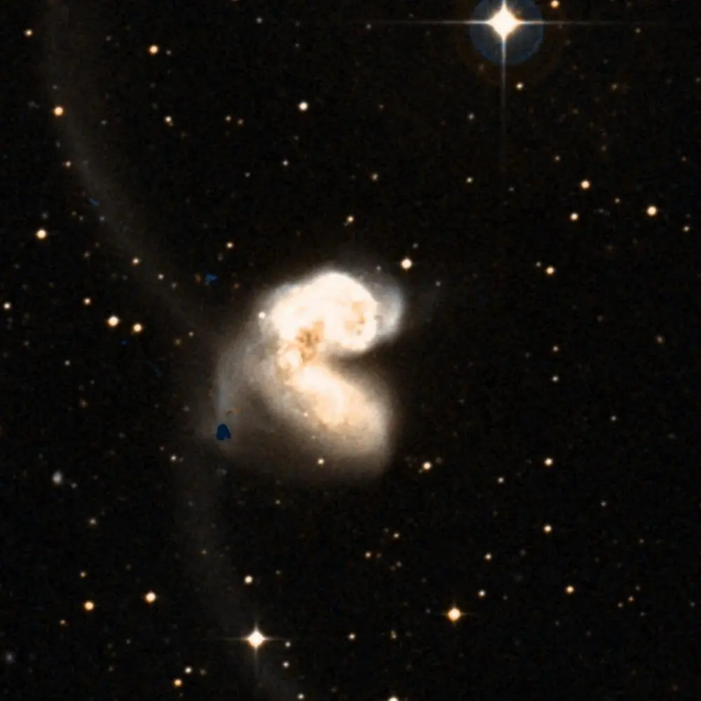 Survey image of Arp244