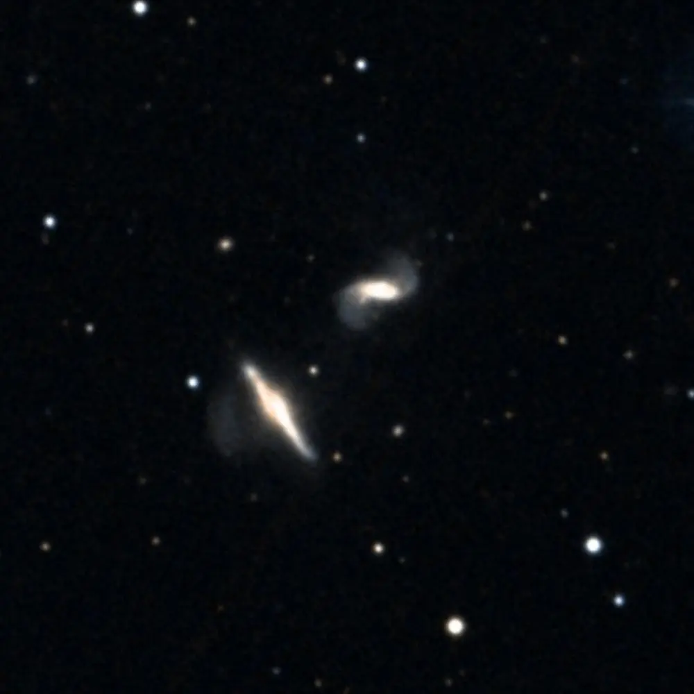 Survey image of Arp293