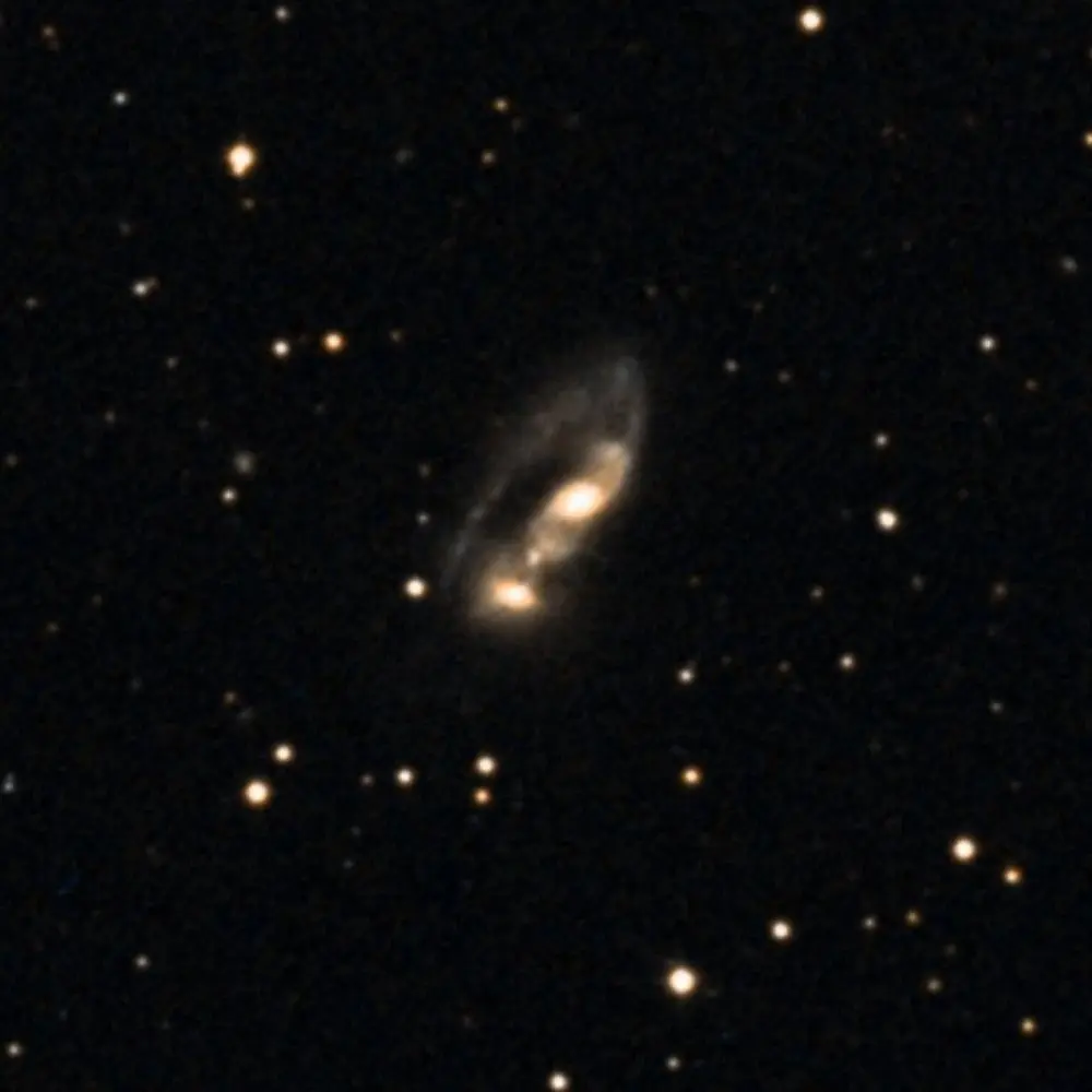 Survey image of Arp81