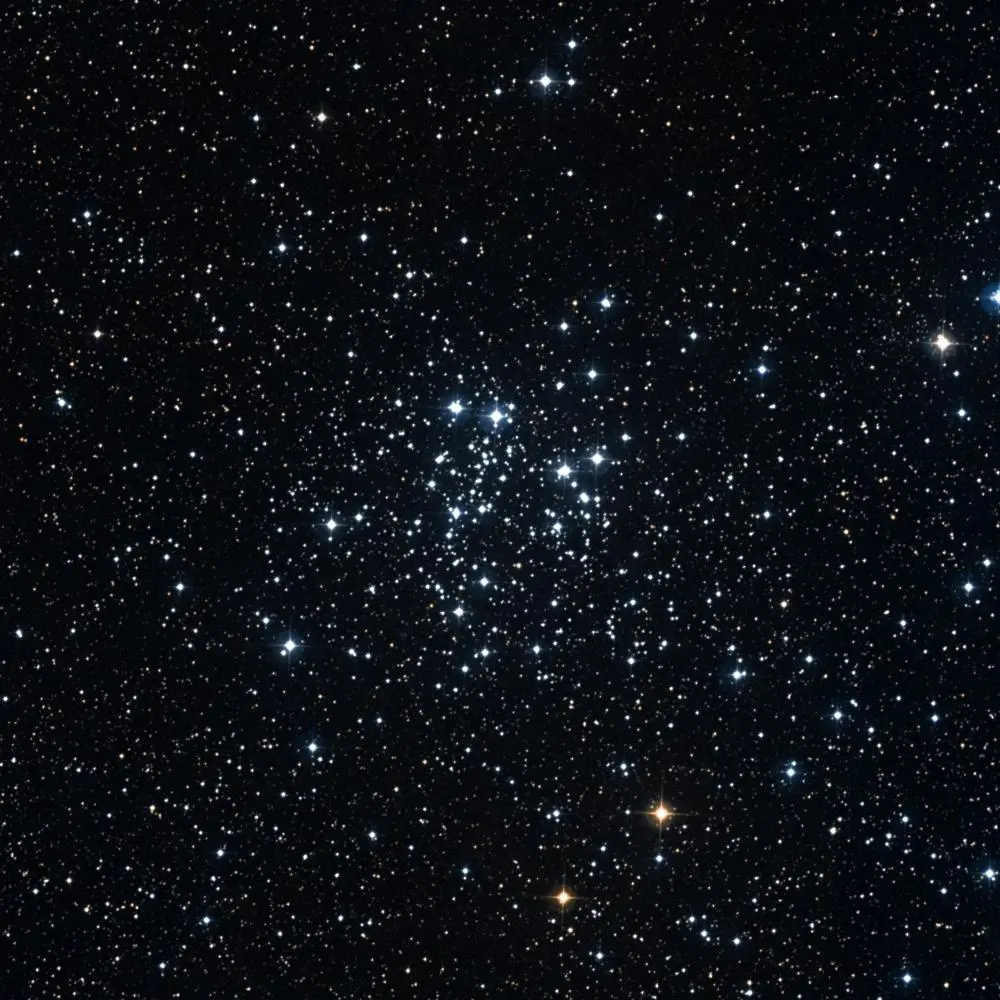 Survey image of C10