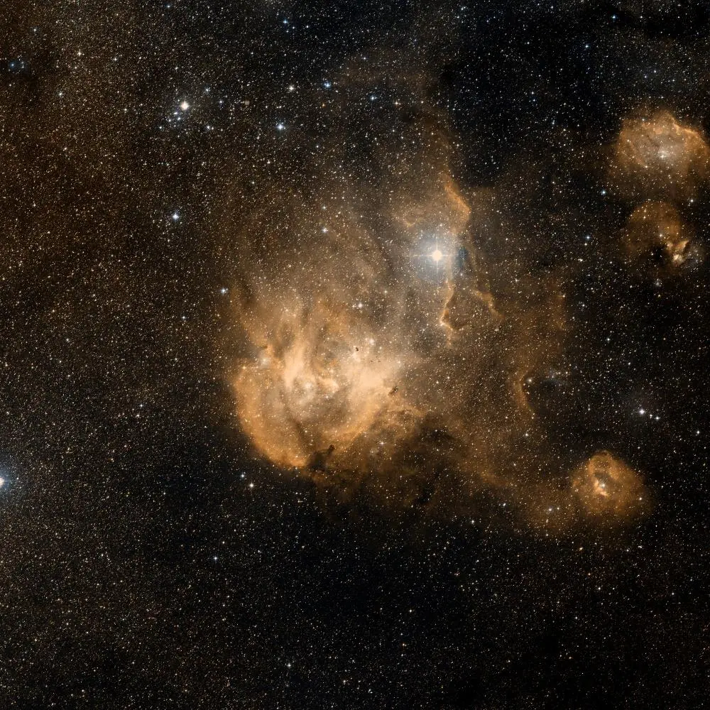 Survey image of C100