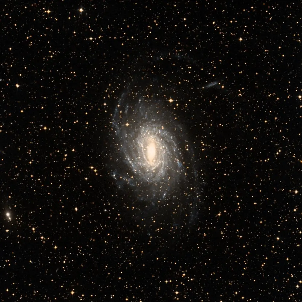 Survey image of C101
