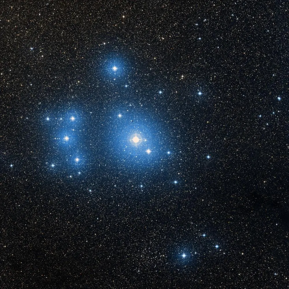 Survey image of C102