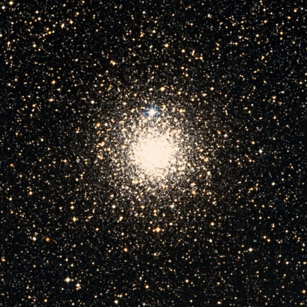 Survey image of C105