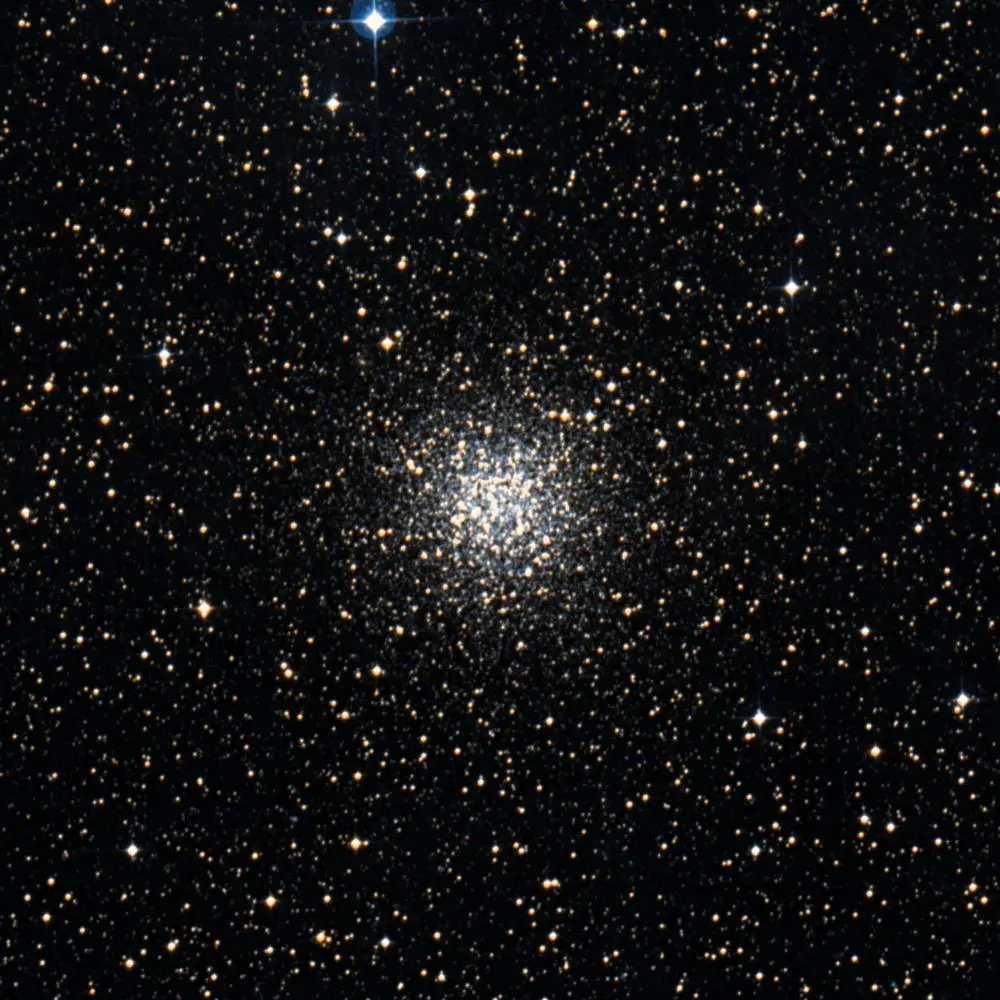 Survey image of C107