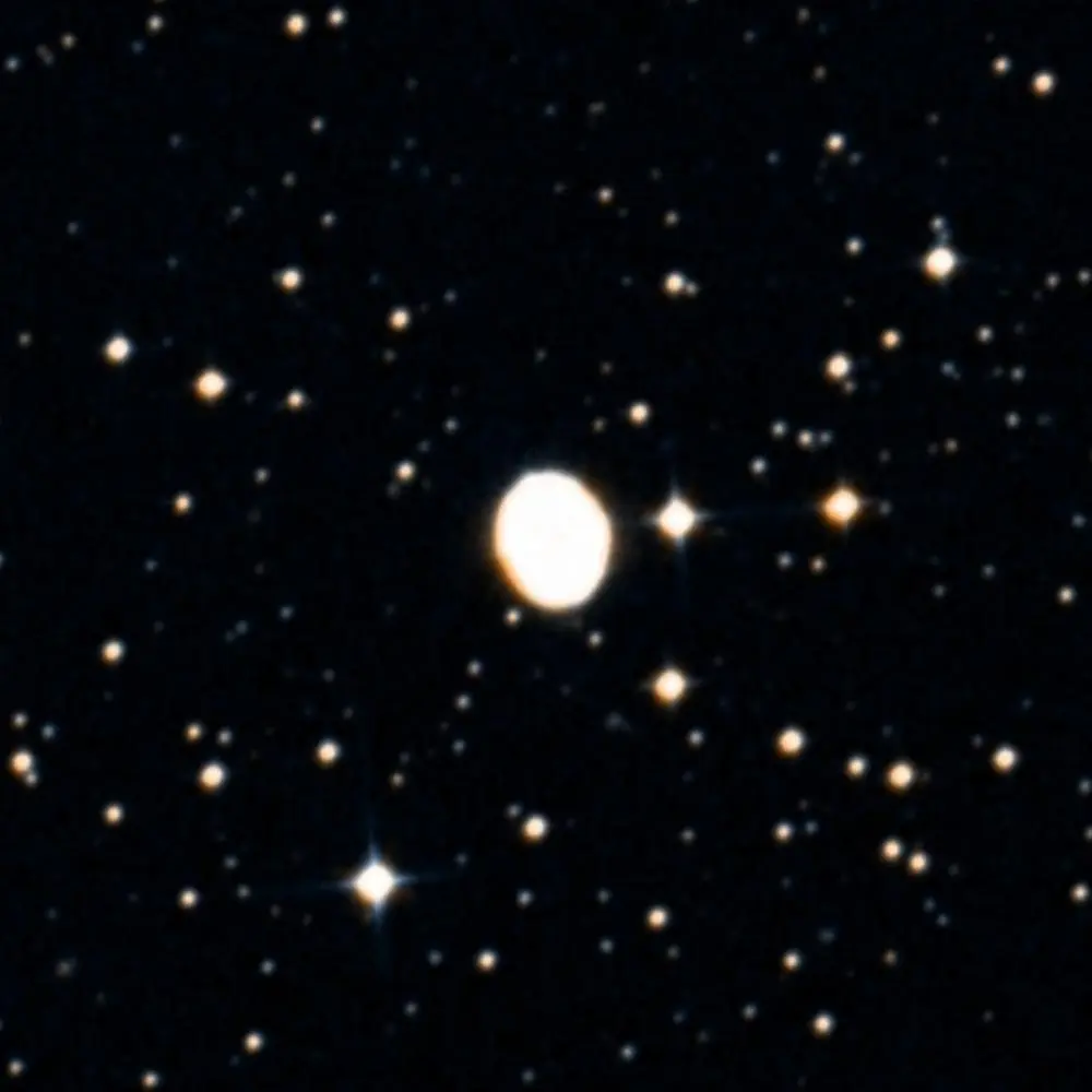Survey image of C109
