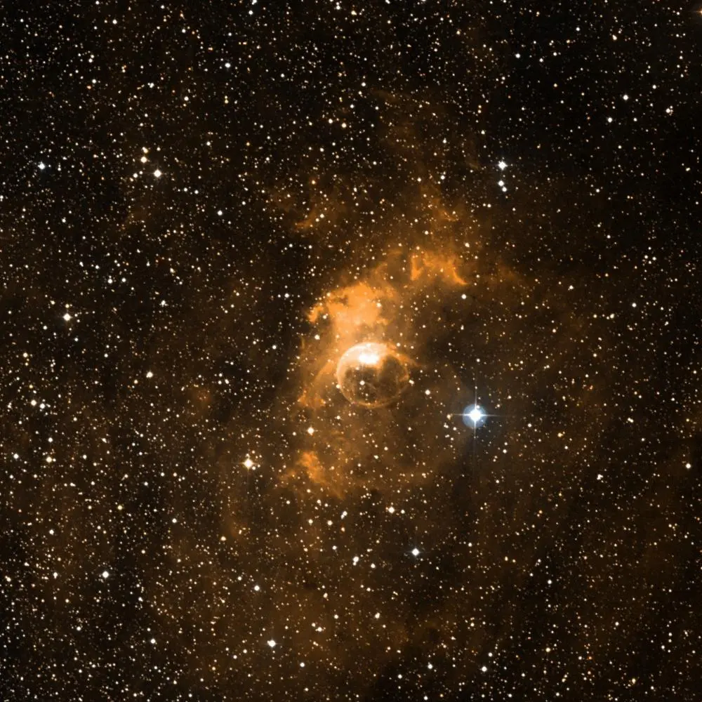 Survey image of C11