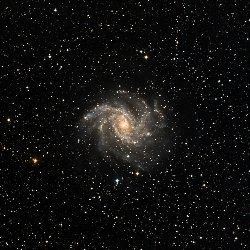 Survey image of C12