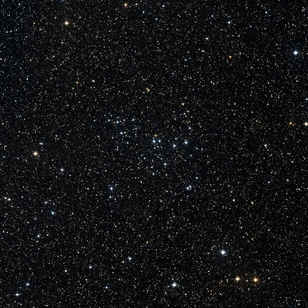 Survey image of C16