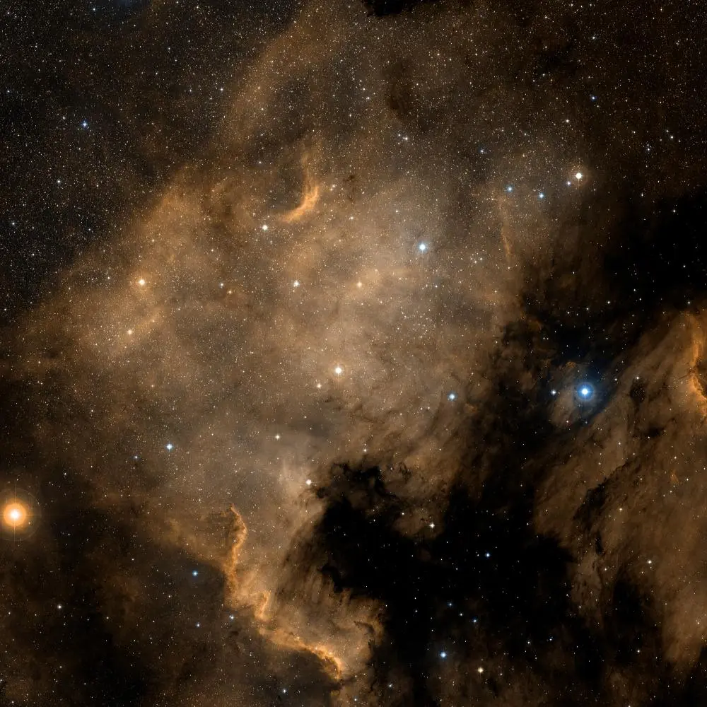 Survey image of C20