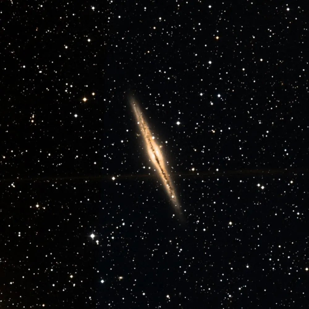 Survey image of C23
