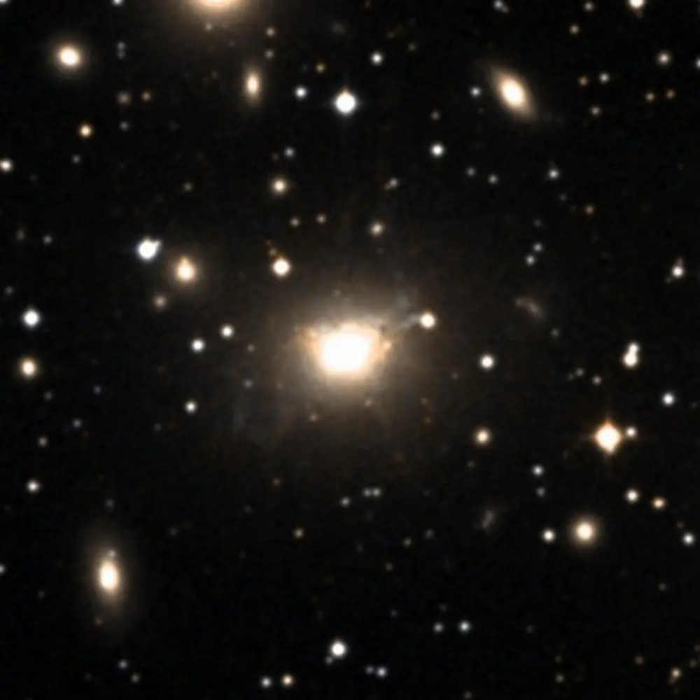 Survey image of C24