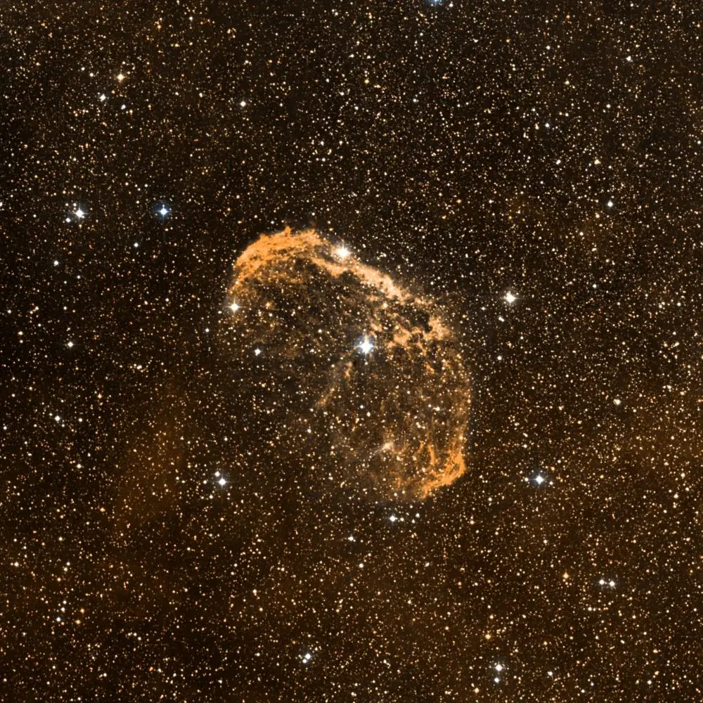 Survey image of C27