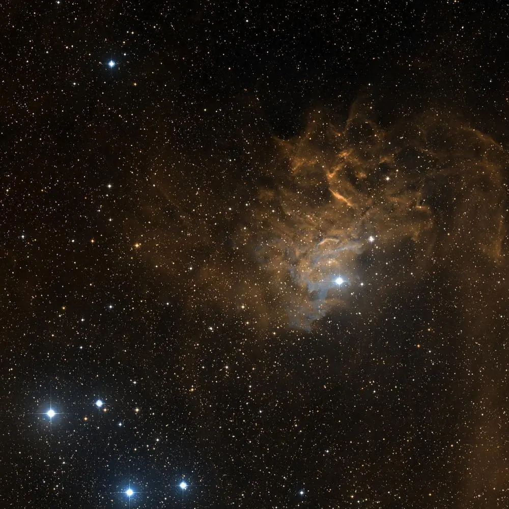 Survey image of C31