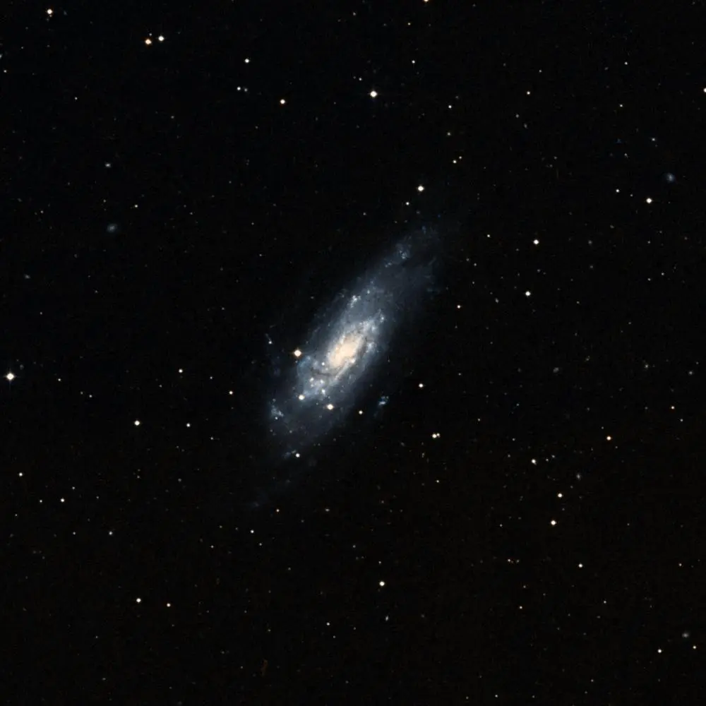 Survey image of C36