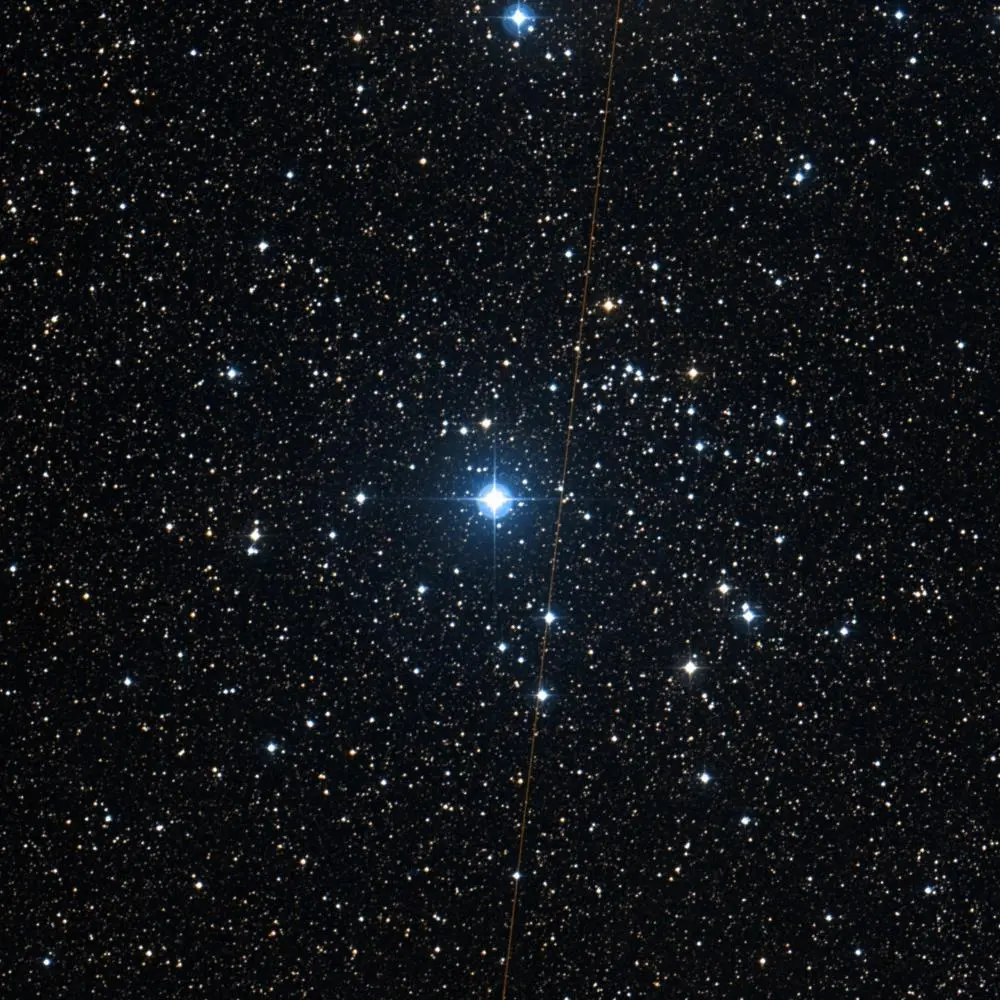 Survey image of C37