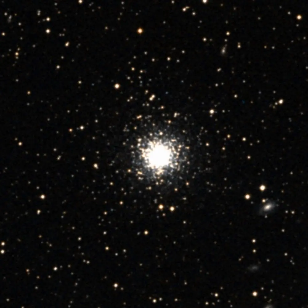 Survey image of C42