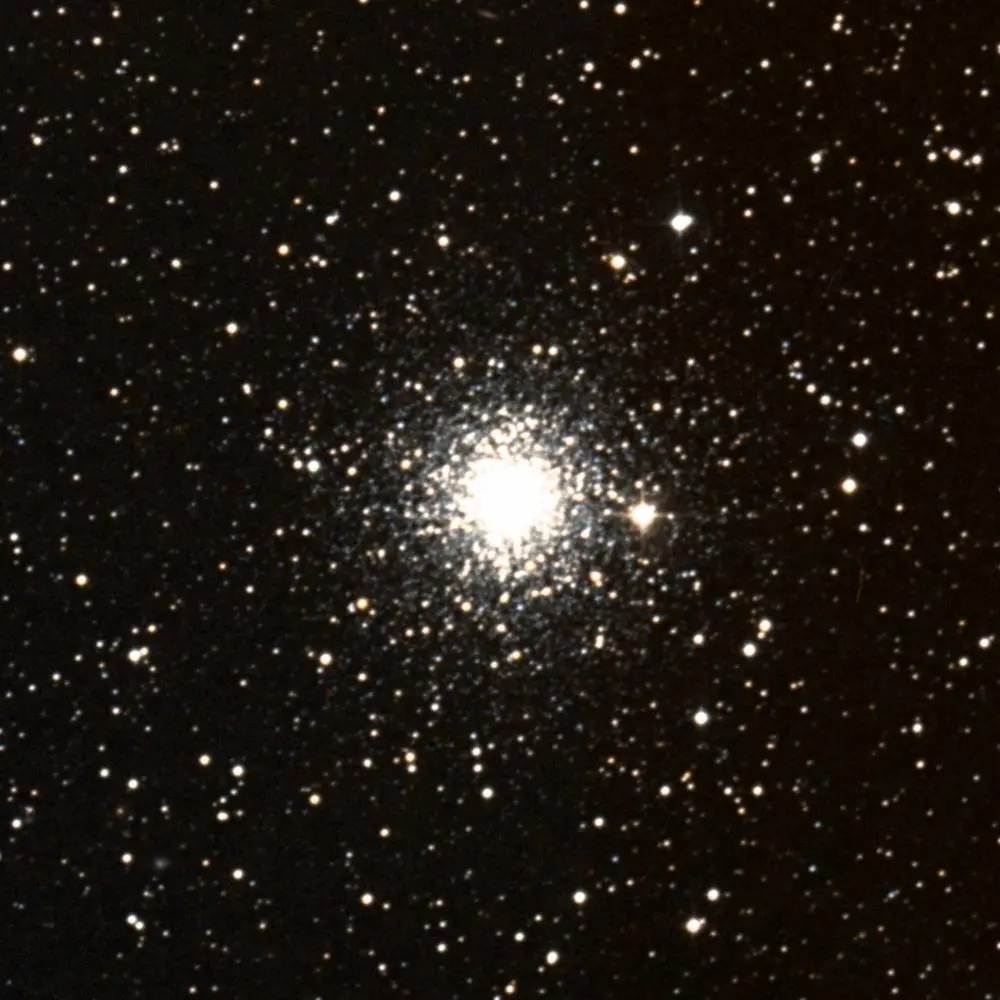 Survey image of C47