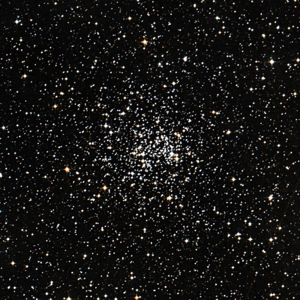 Survey image of C54