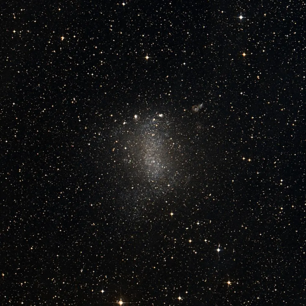 Survey image of C57