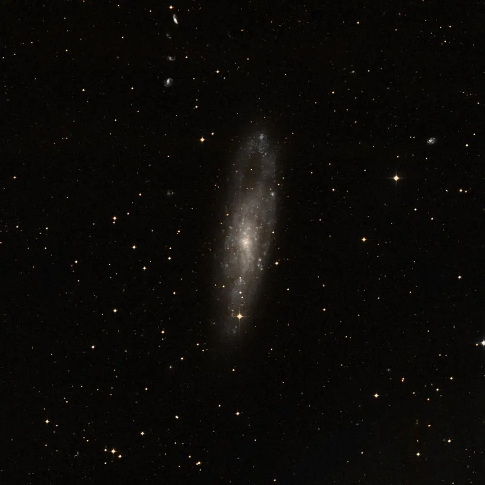 Survey image of C62