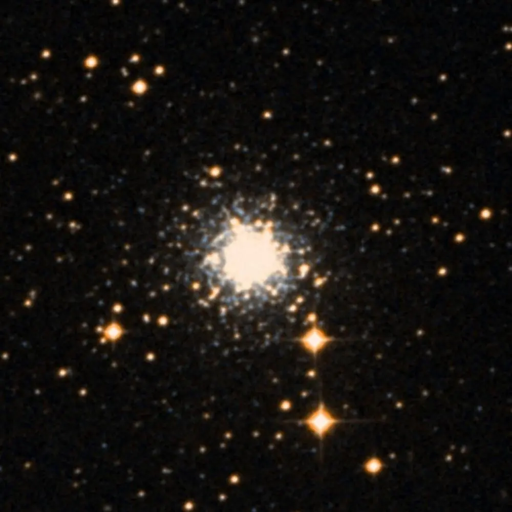 Survey image of C66
