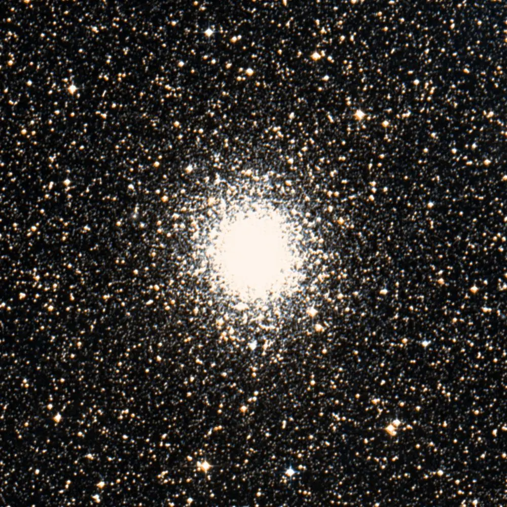 Survey image of C78
