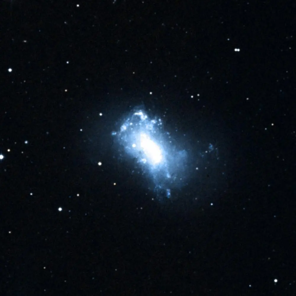 Survey image of H-NGC4449
