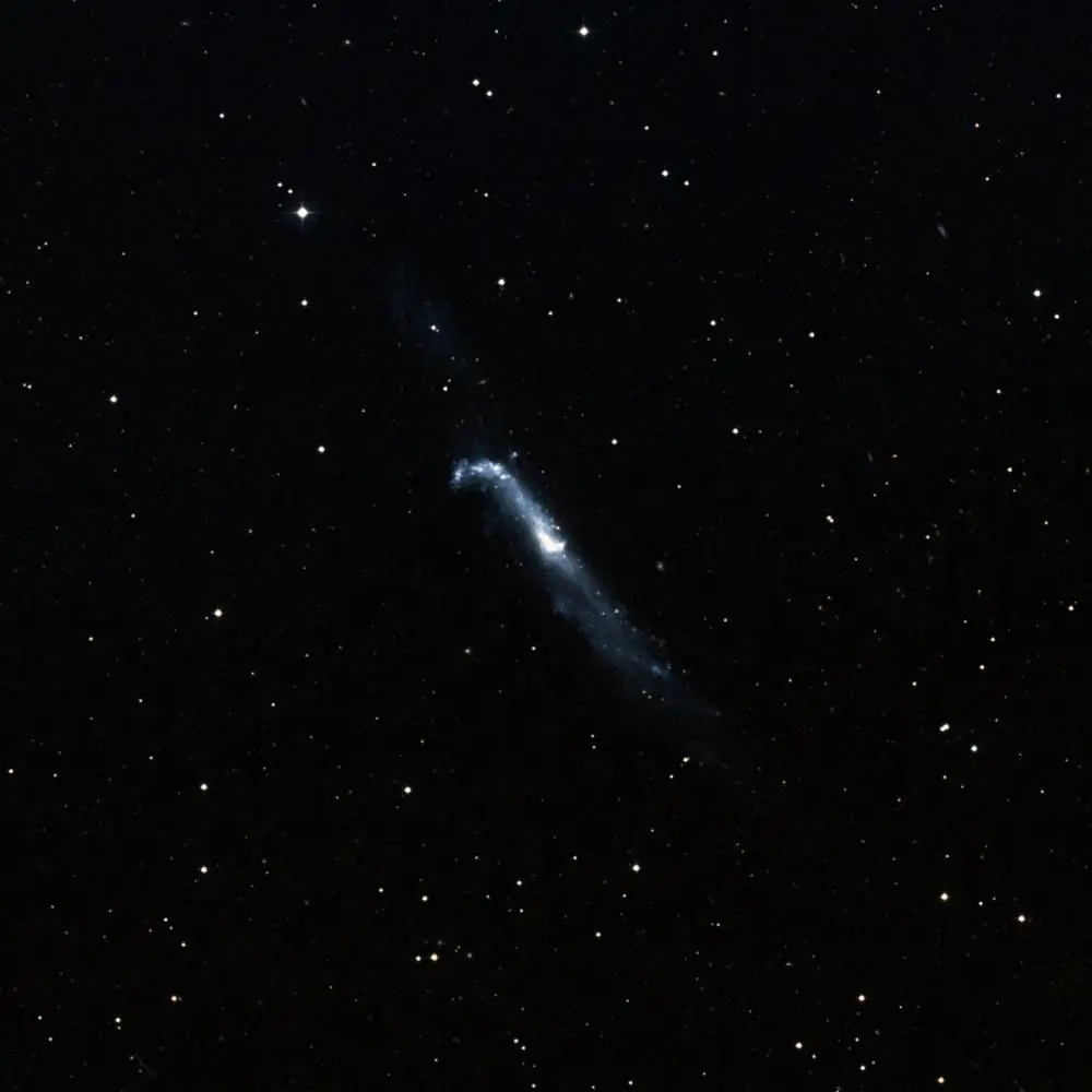 Survey image of H-NGC4656