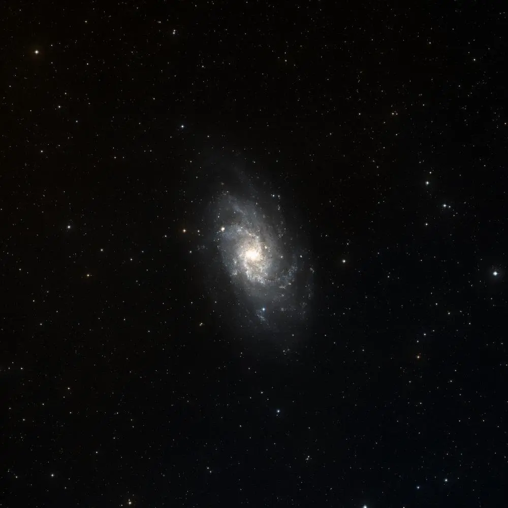 Survey image of M33