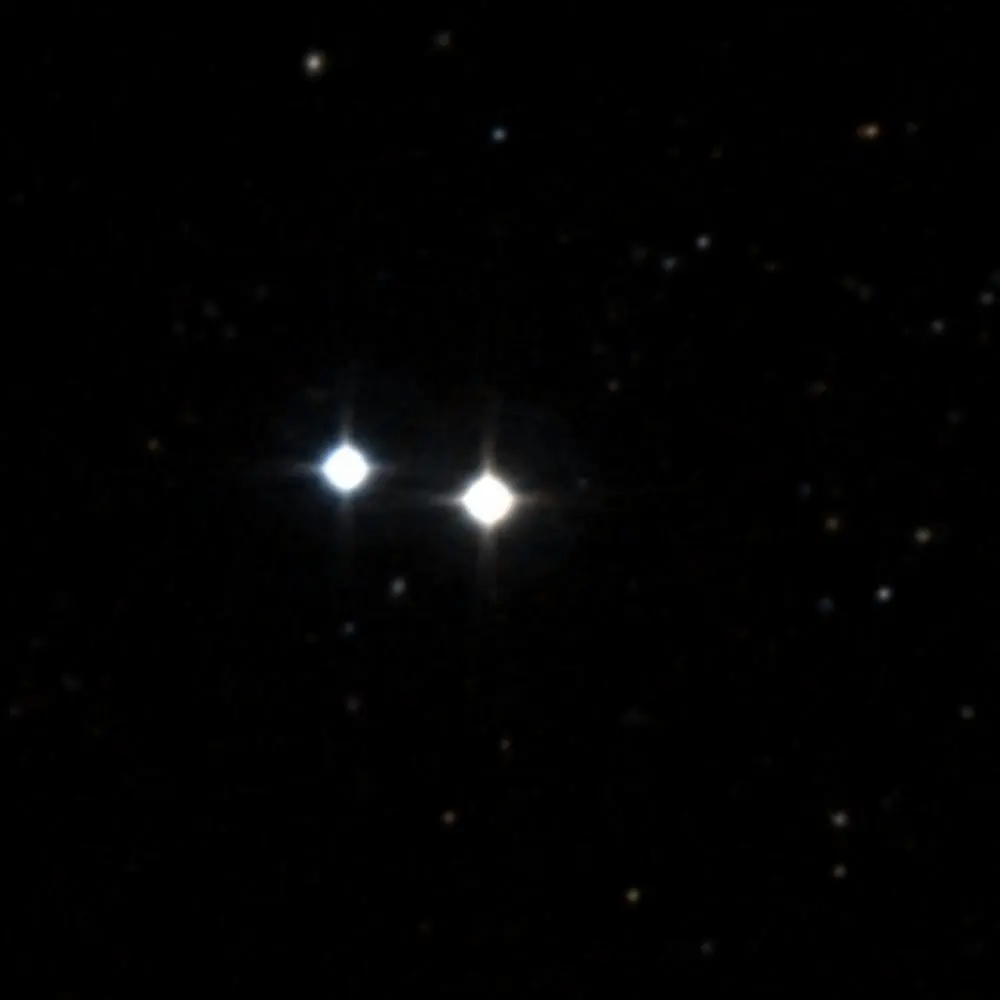 Survey image of M40