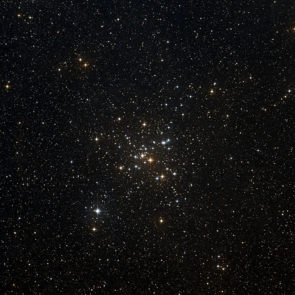 Survey image of M41