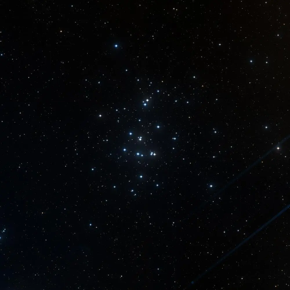 Survey image of M44