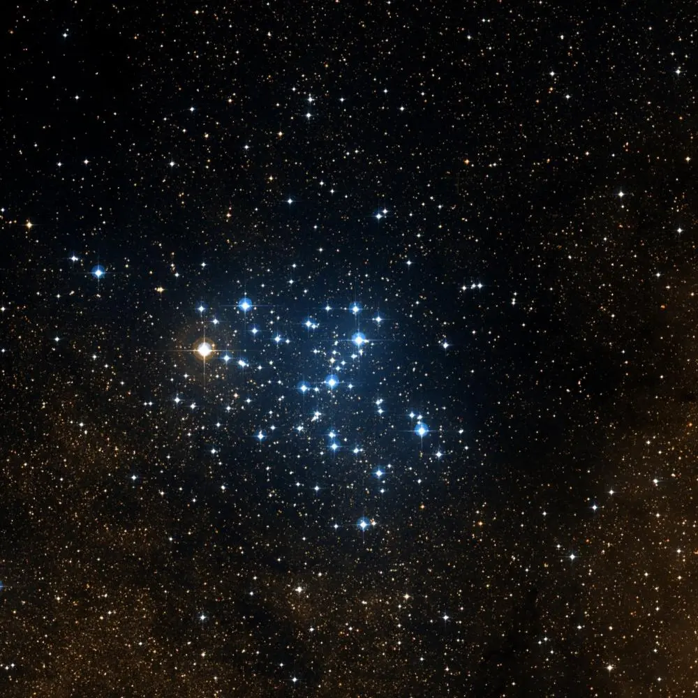 Survey image of M6