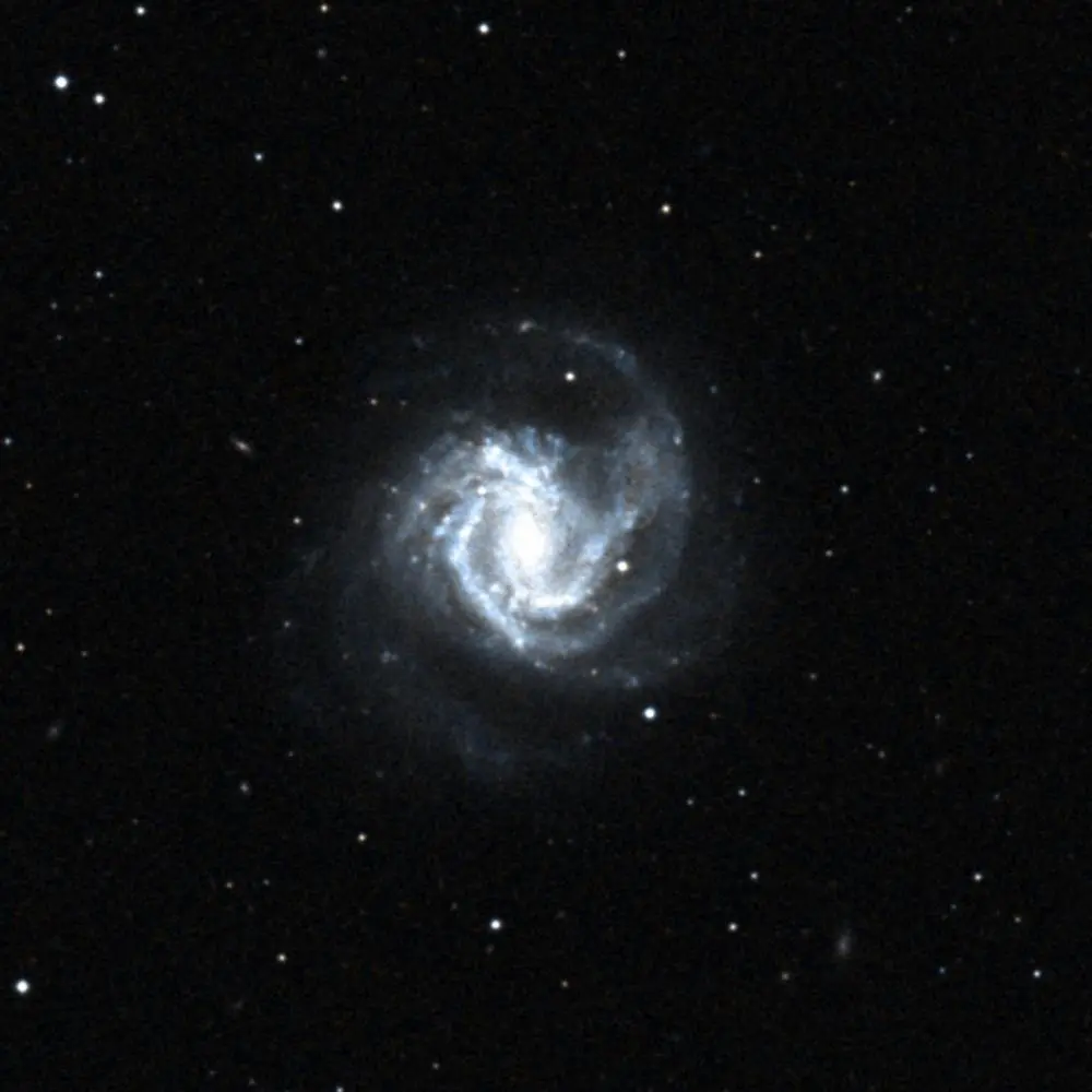 Survey image of M61