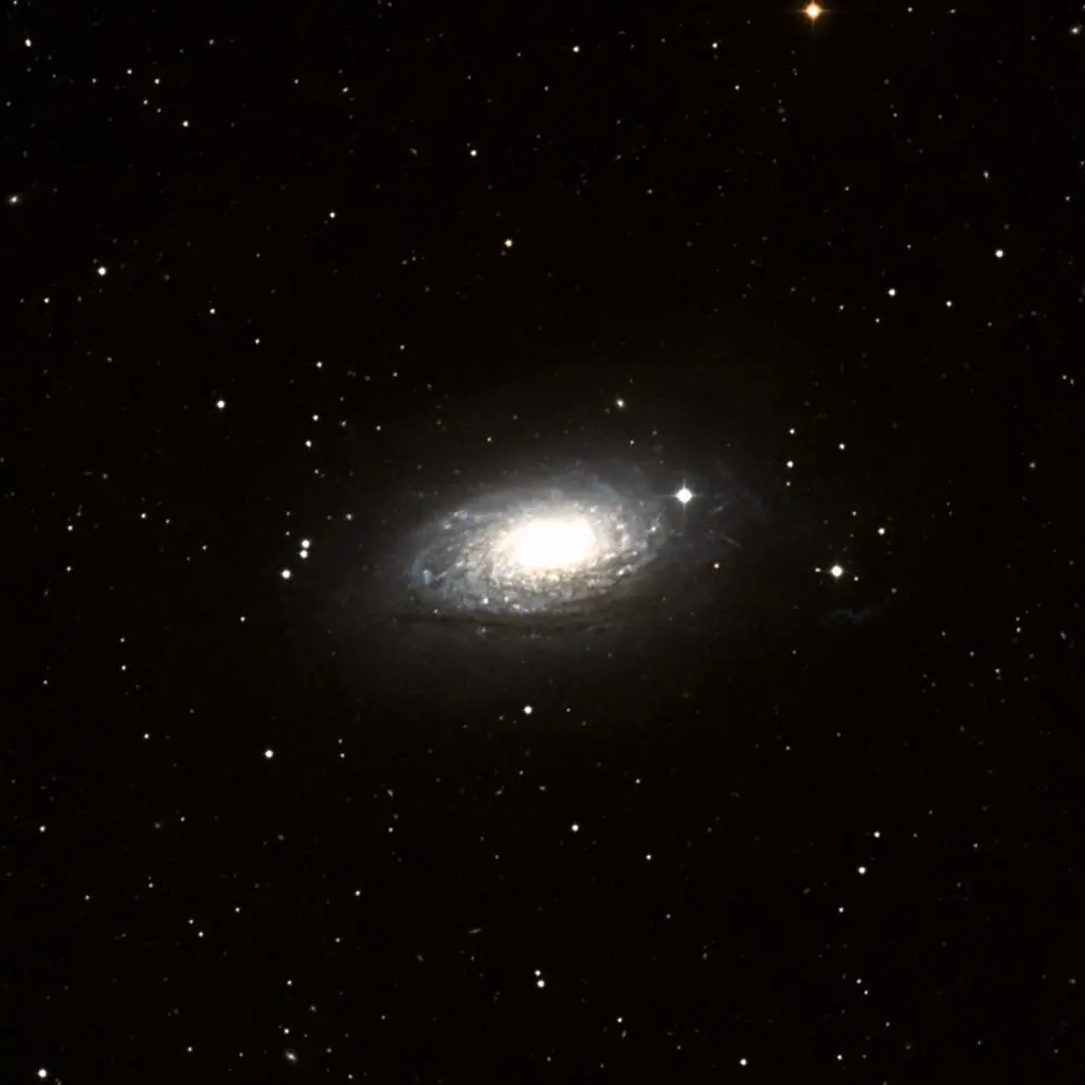Survey image of M63