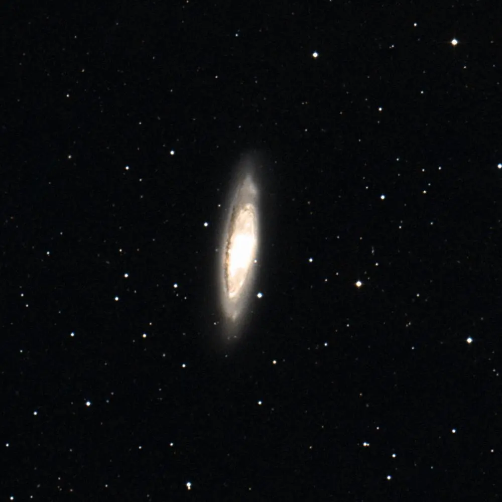 Survey image of M65