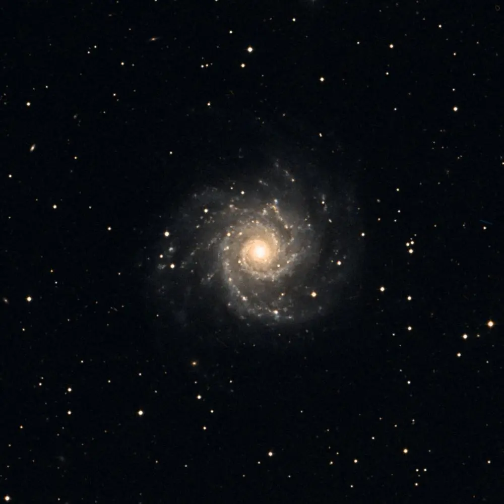 Survey image of M74