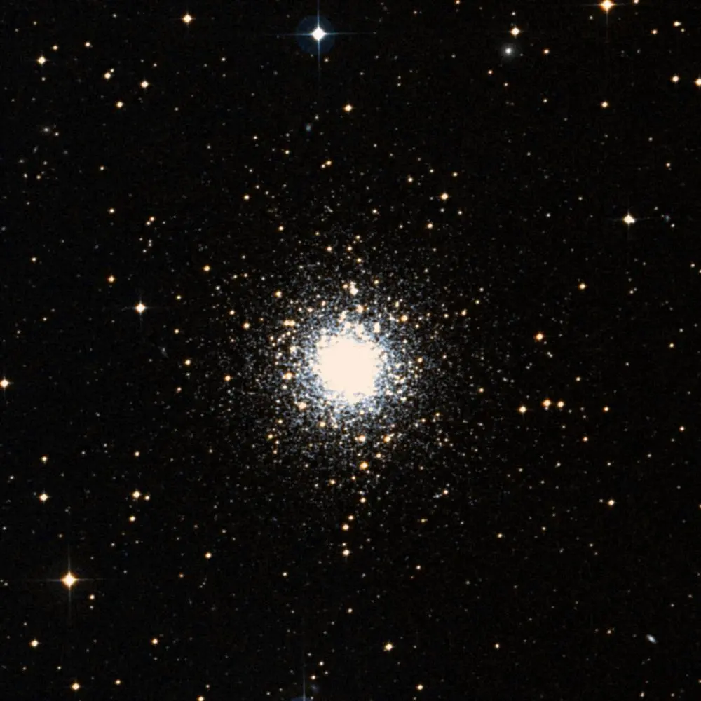 Survey image of M79