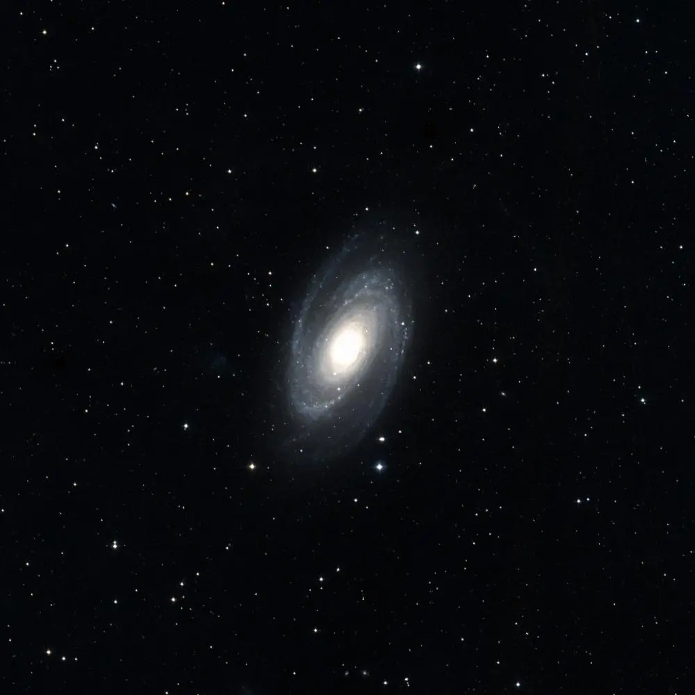 Survey image of M81