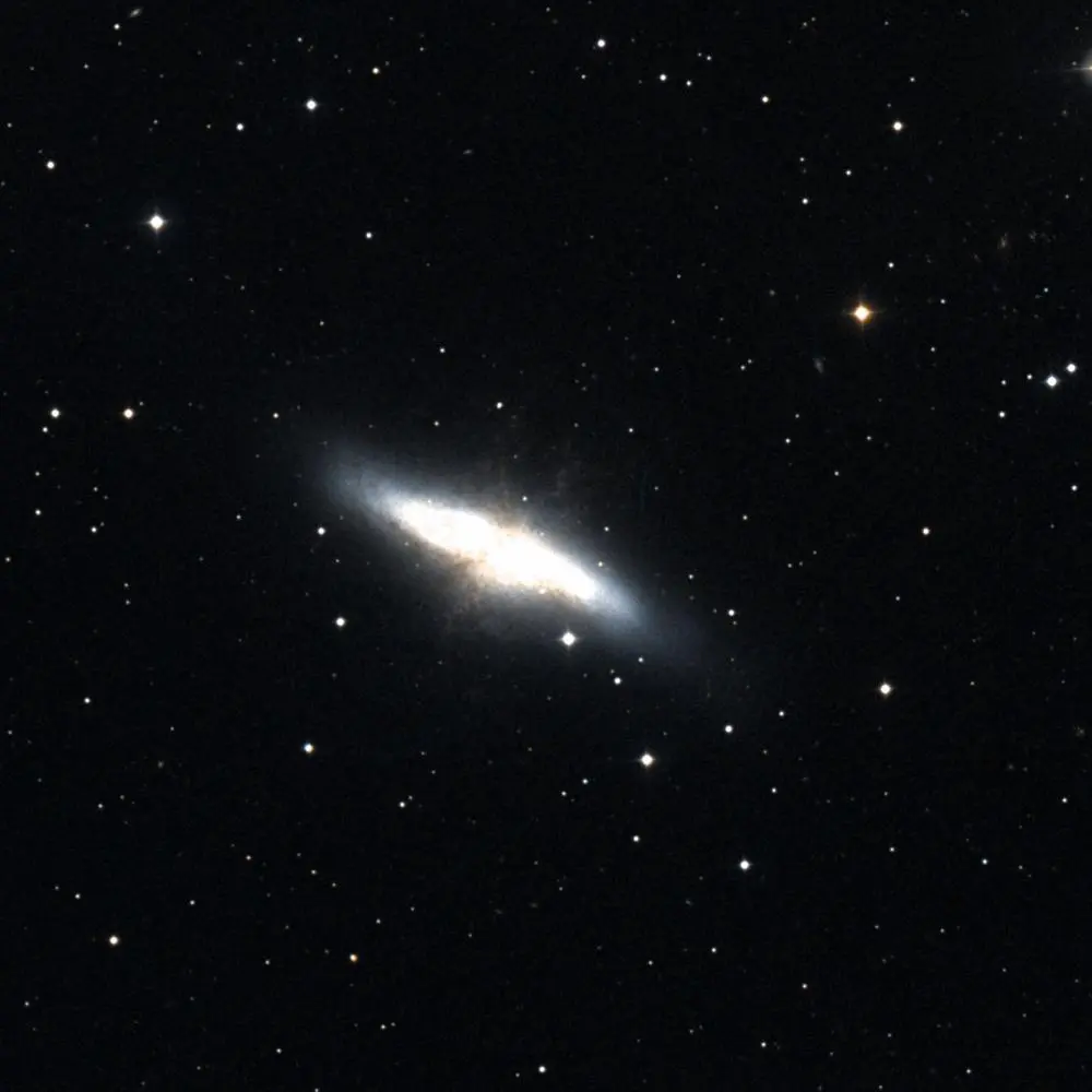 Survey image of M82
