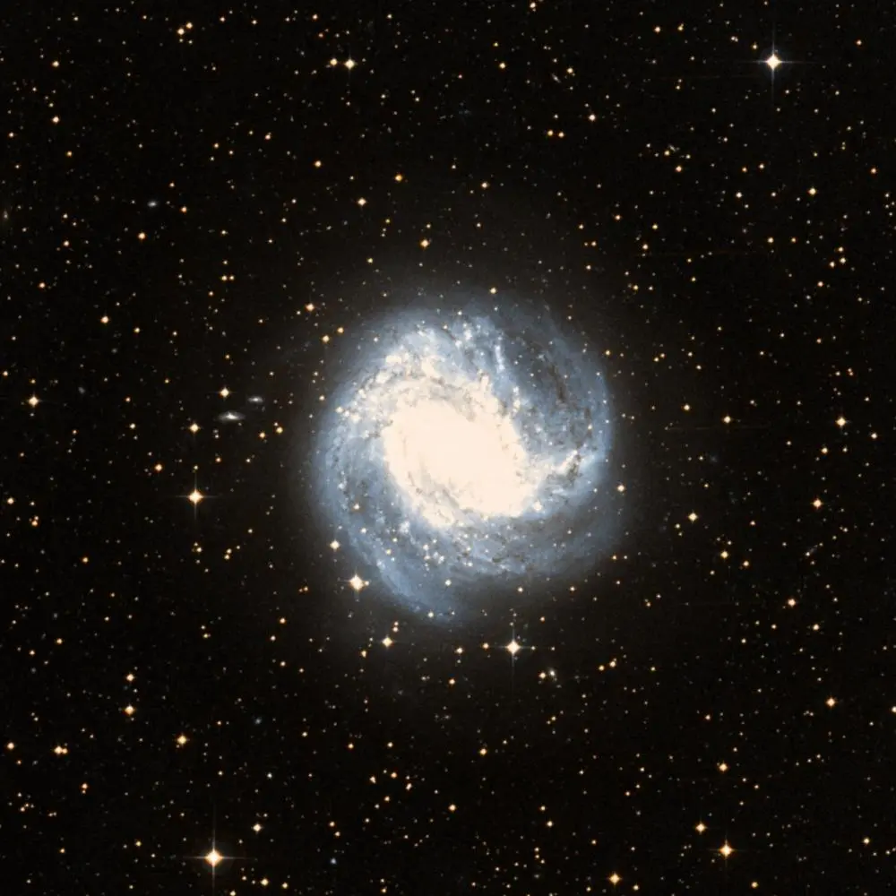 Survey image of M83