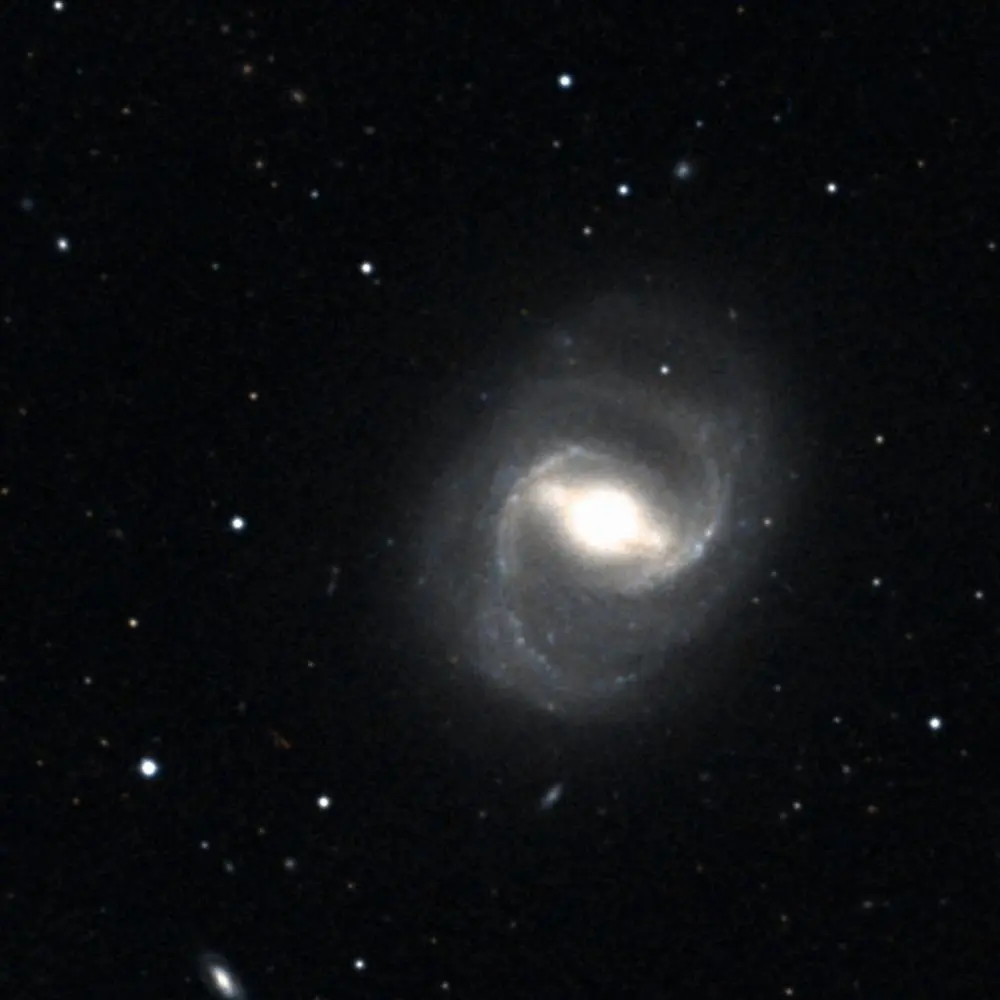 Survey image of M91