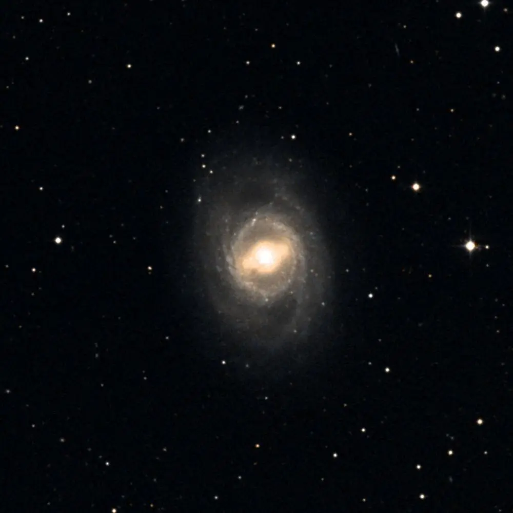 Survey image of M95