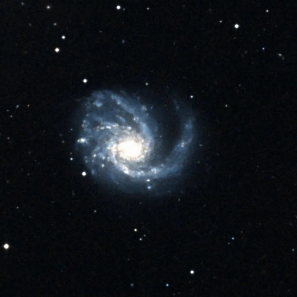 Survey image of M99