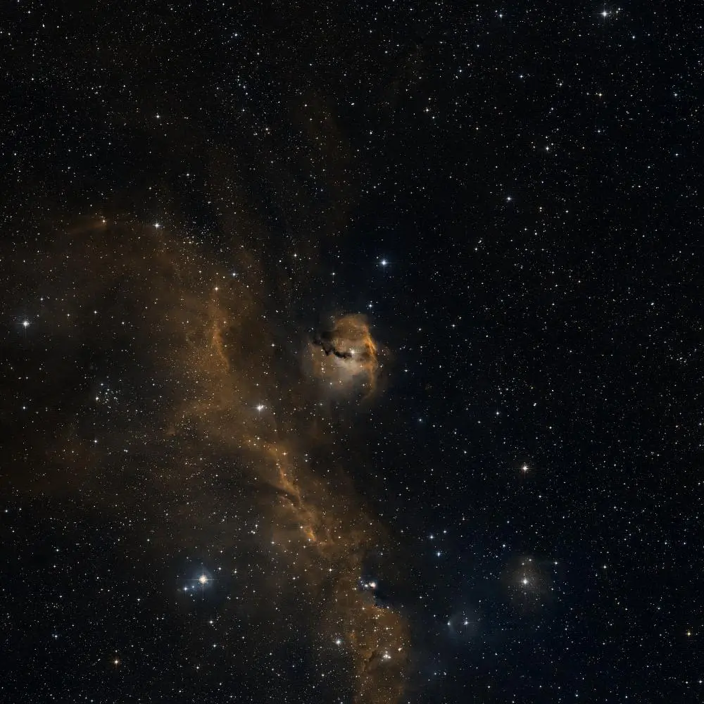 Survey image of Sh2-292